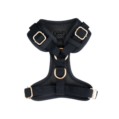 Baksidan/ryggen av Silhouettes sele