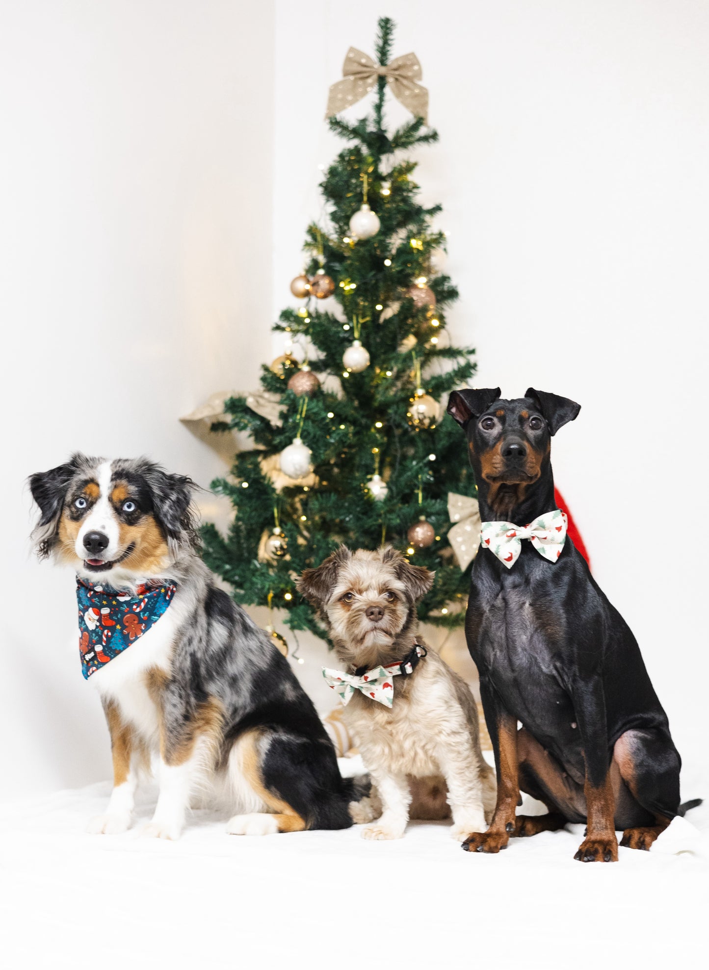 Fluga - Christmas Time