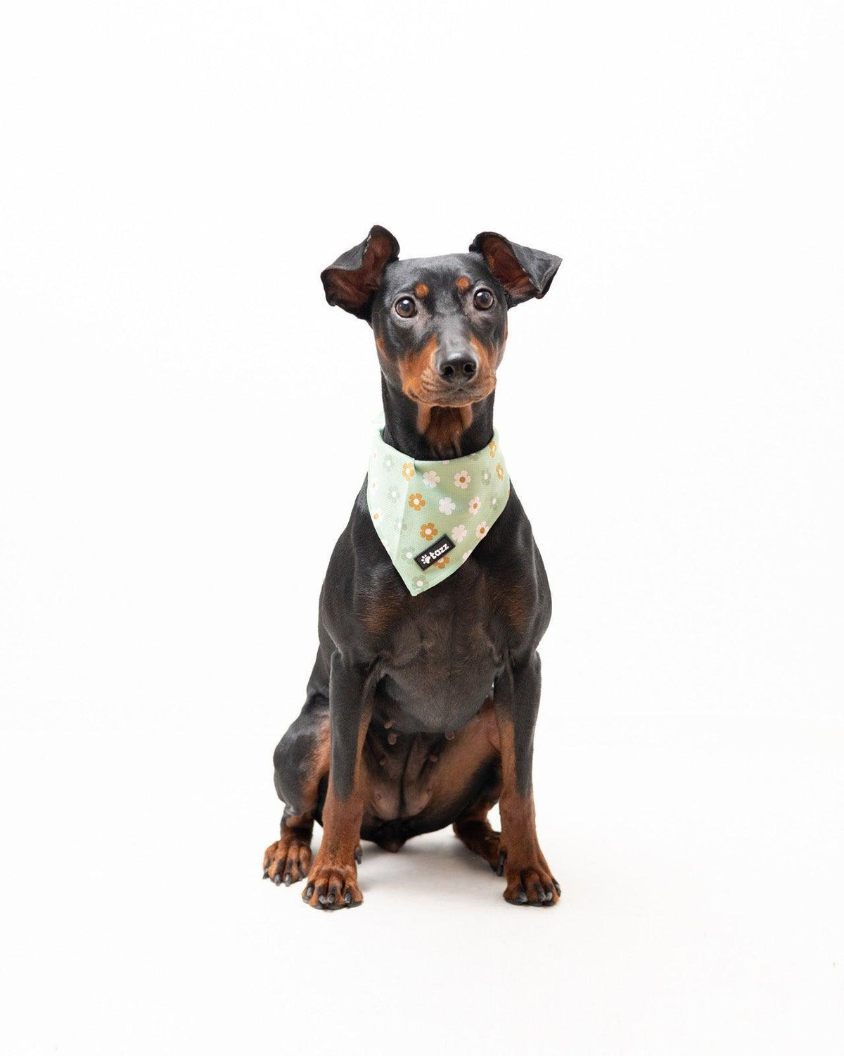 Bandana - Flower Power - Tazz