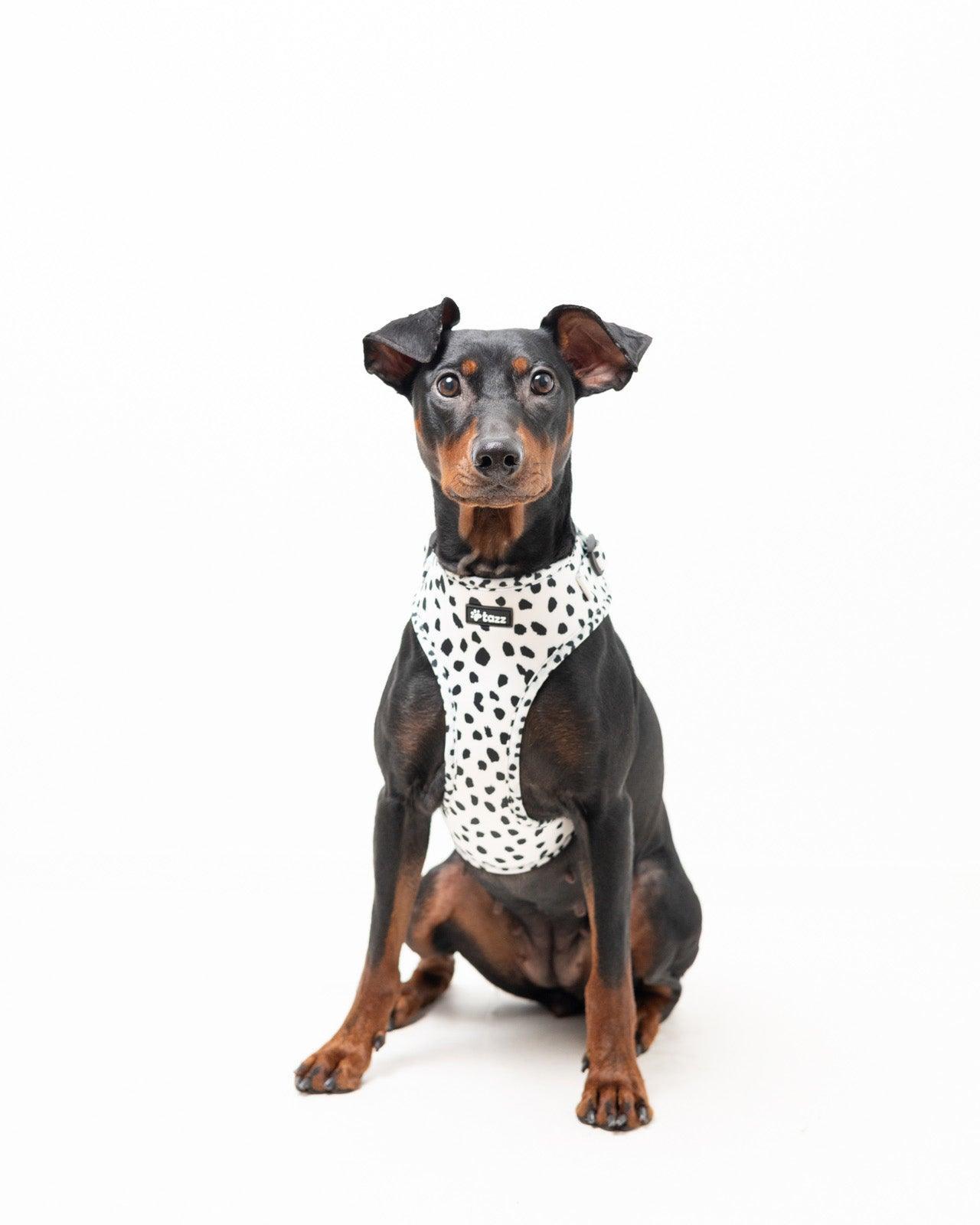 Sele - Spots on Run - Tazz