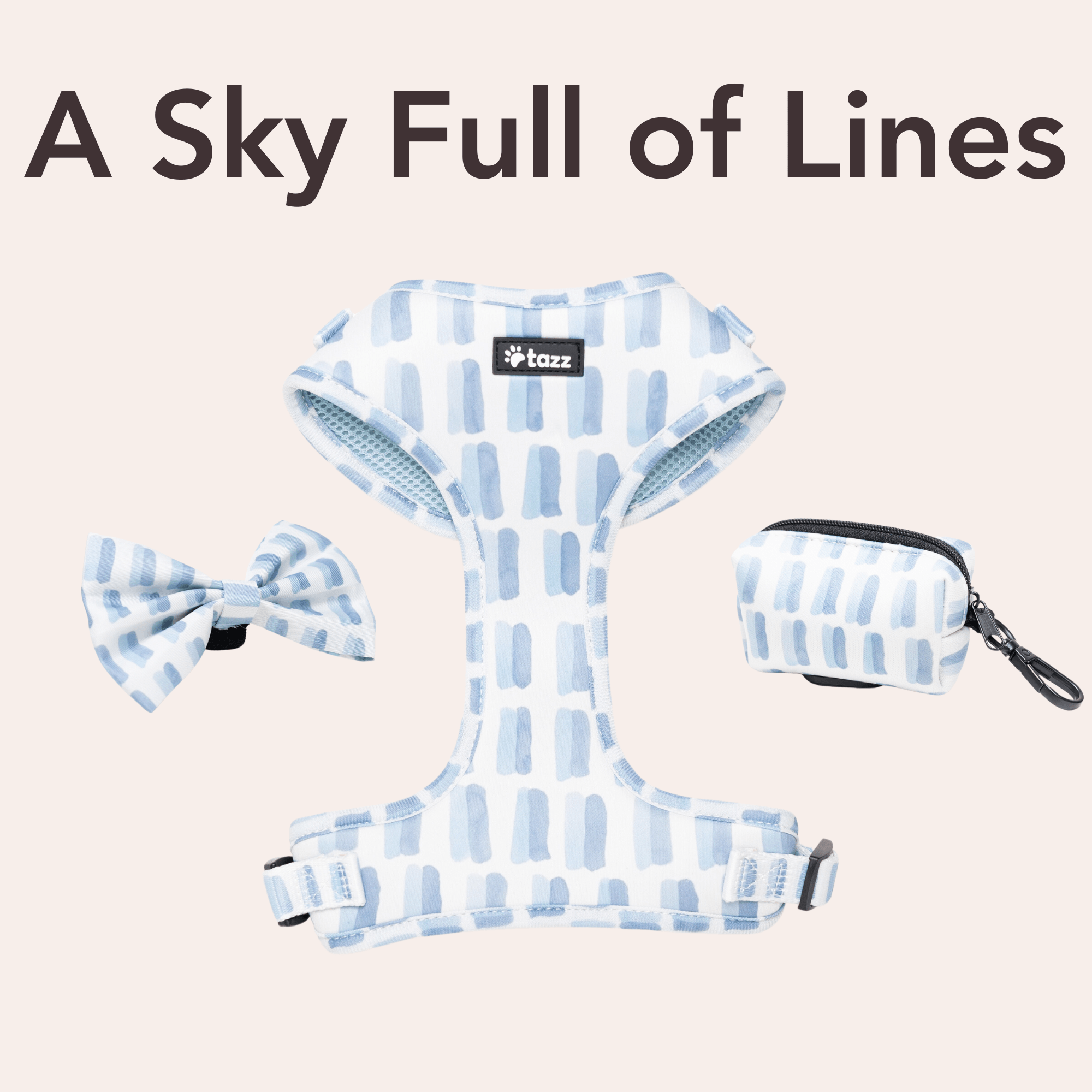 A Sky Full Of Lines - Tazz