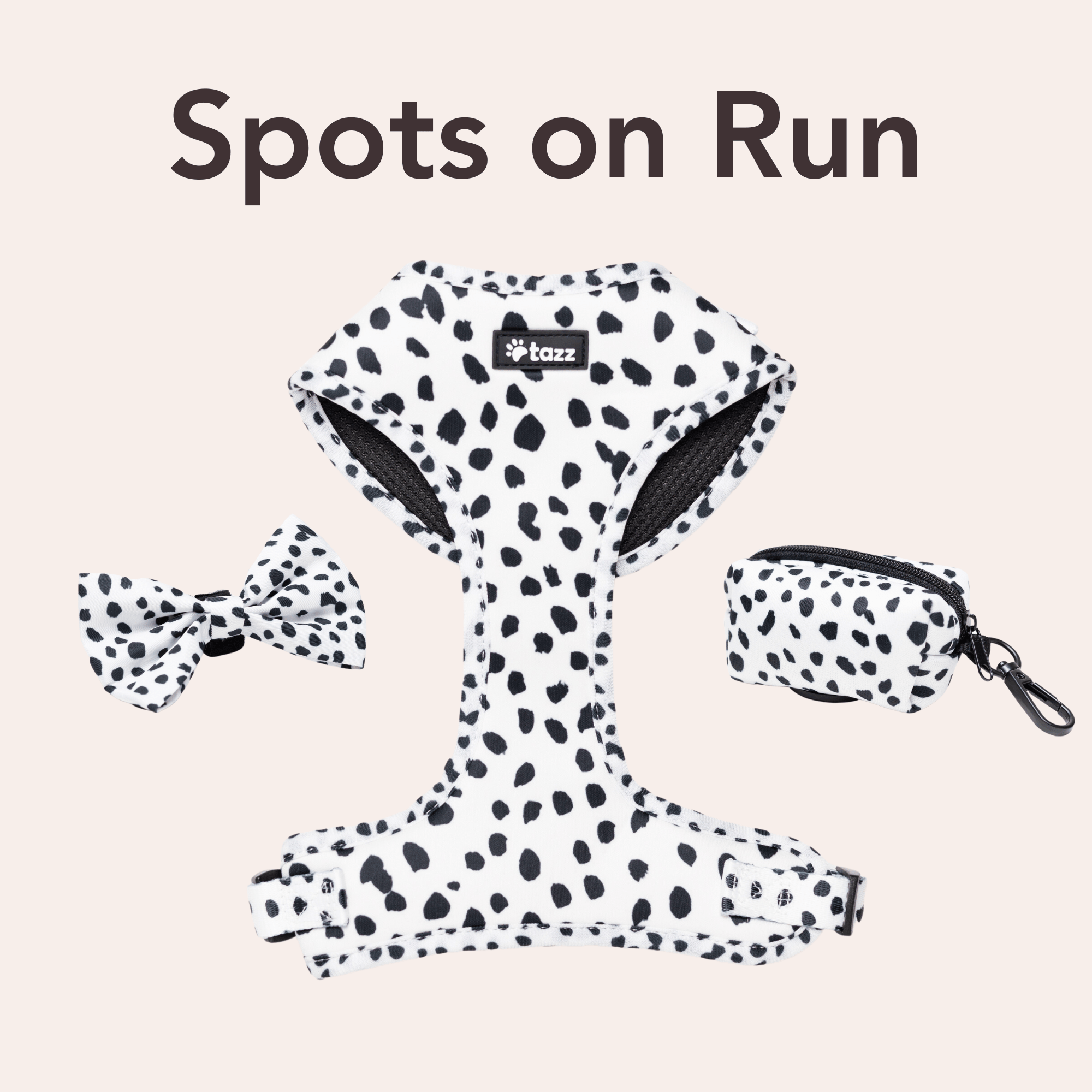 Spots on Run - Tazz
