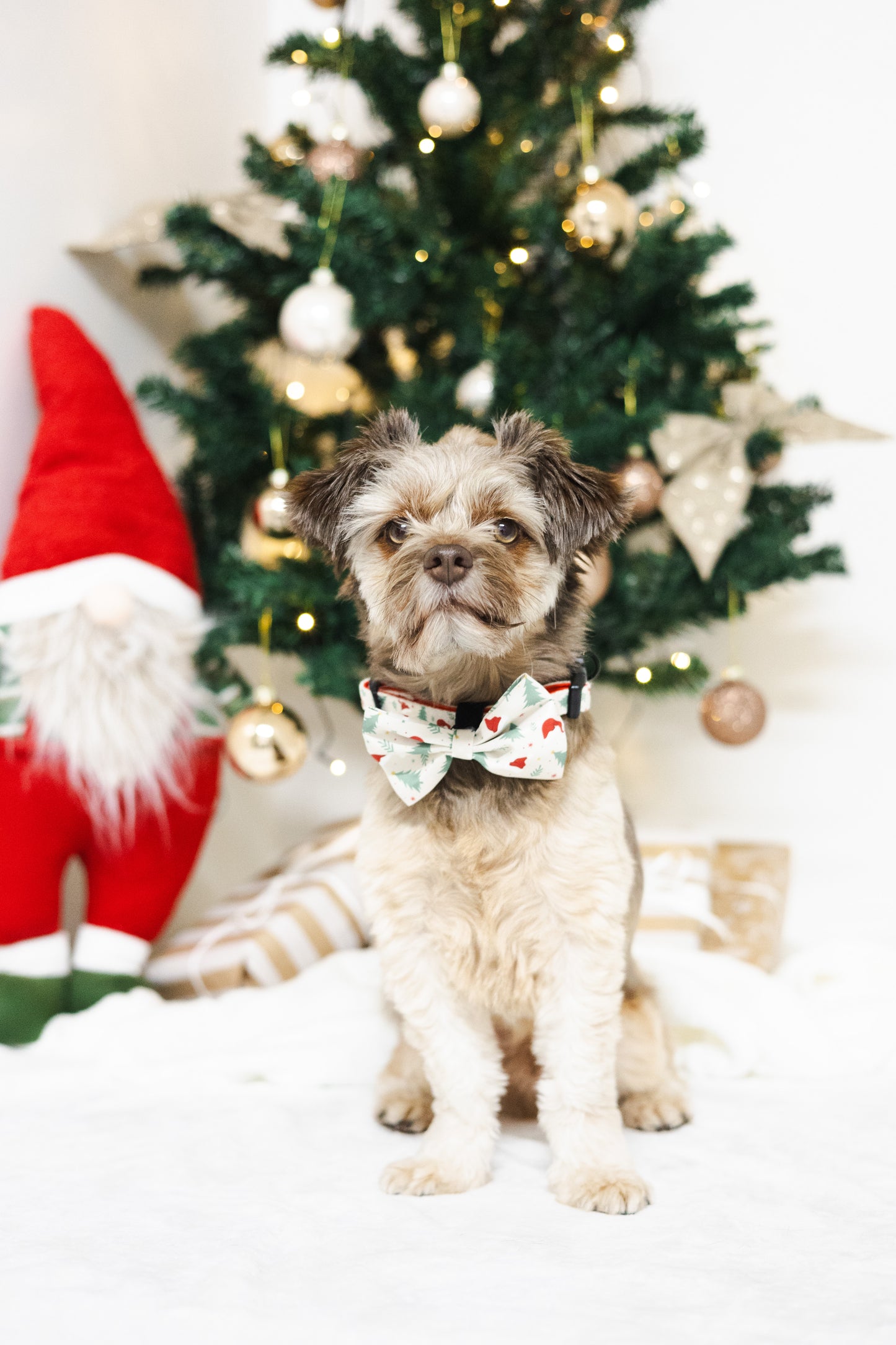 Fluga - Christmas Time