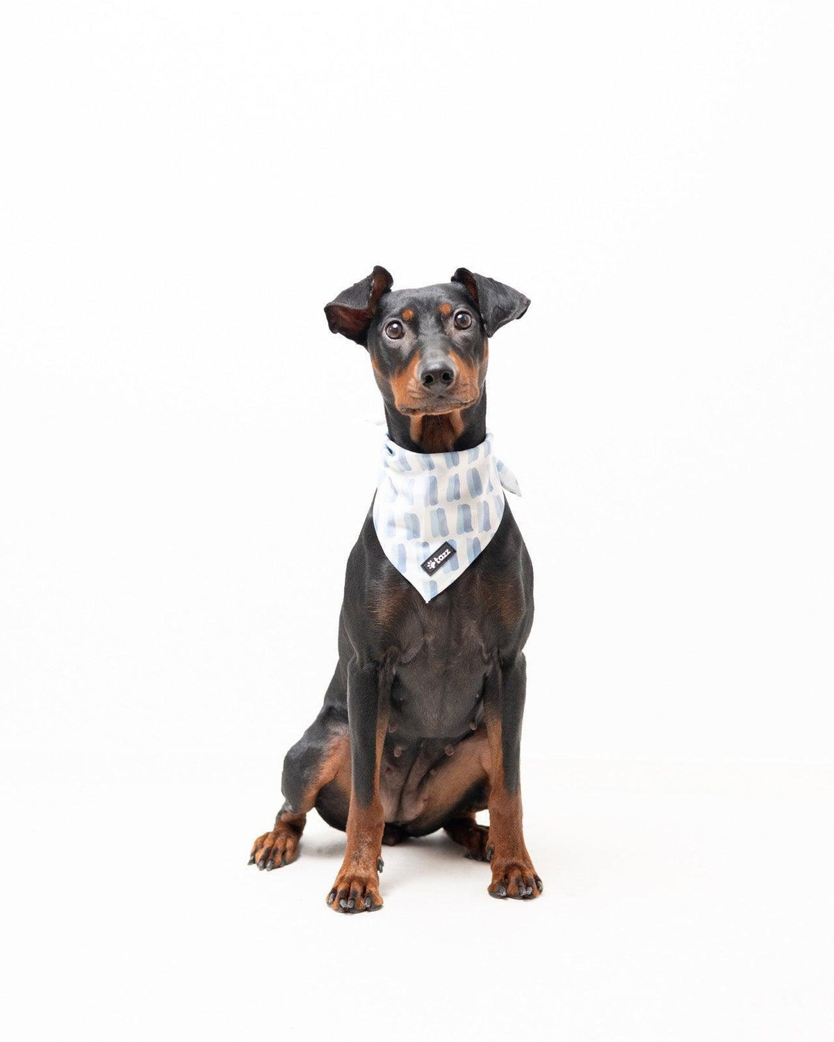 Bandana - A Sky Full Of Lines - Tazz
