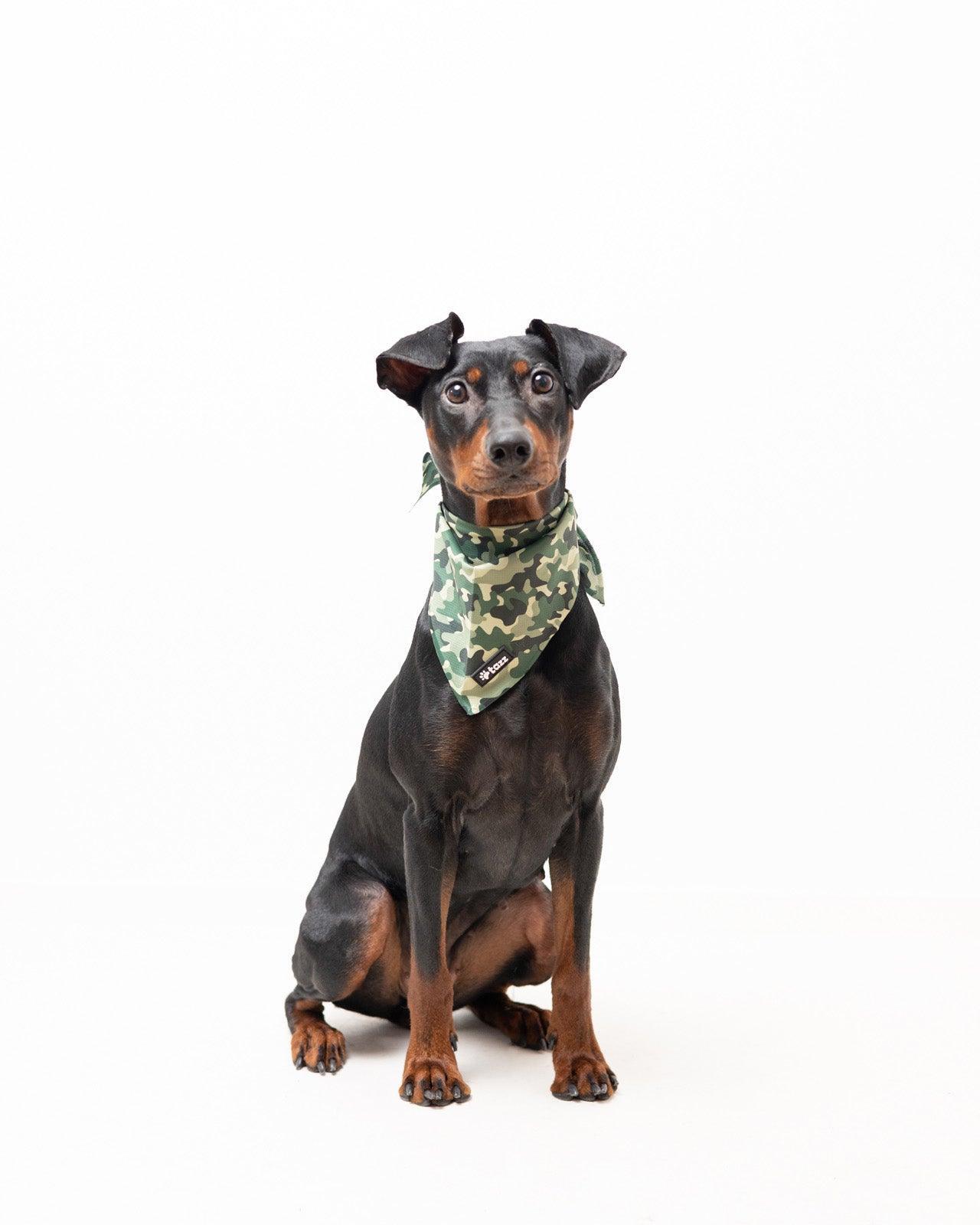 Bandana - Green Camo - Tazz