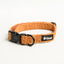 Halsband - Teddy