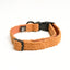 Halsband - Teddy